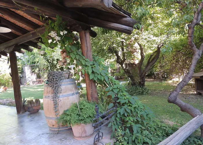 Residencia En Casa De Artista